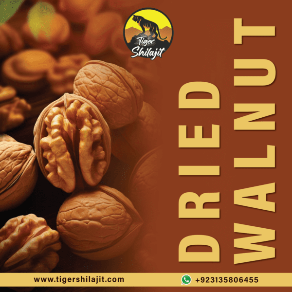 Dried Walnut